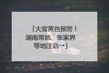 大雾黄色预警！湖南常德、张家界等地注意→