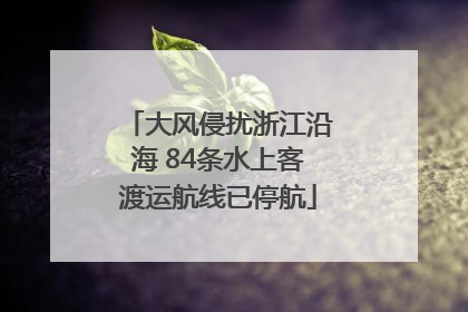 大风侵扰浙江沿海 84条水上客渡运航线已停航
