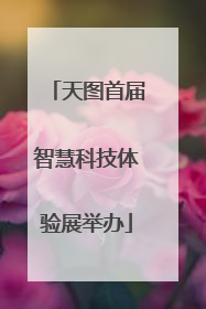 天图首届智慧科技体验展举办