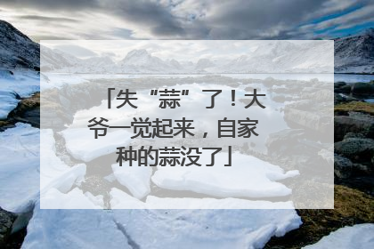 失“蒜”了！大爷一觉起来，自家种的蒜没了