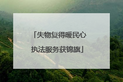 失物复得暖民心 执法服务获锦旗