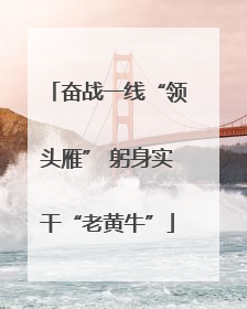 奋战一线“领头雁” 躬身实干“老黄牛”
