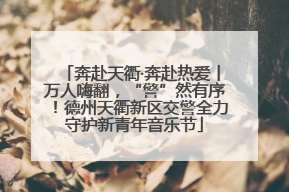 奔赴天衢·奔赴热爱丨万人嗨翻，“警”然有序！德州天衢新区交警全力守护新青年音乐节
