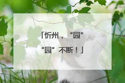 忻州，“园”“园”不断！