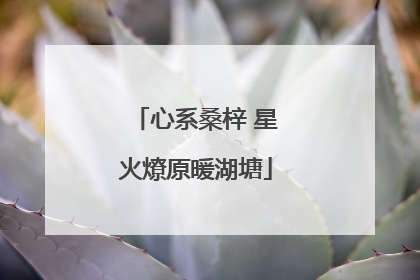 心系桑梓 星火燎原暖湖塘