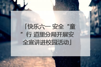 快乐六一 安全“童”行 道里分局开展安全宣讲进校园活动