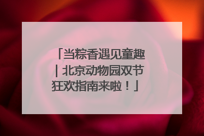 当粽香遇见童趣｜北京动物园双节狂欢指南来啦！