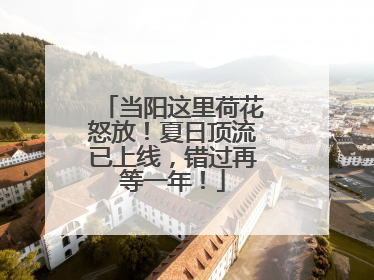 当阳这里荷花怒放！夏日顶流已上线，错过再等一年！