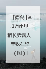 德兴市3.1万亩早稻长势喜人 丰收在望（图）