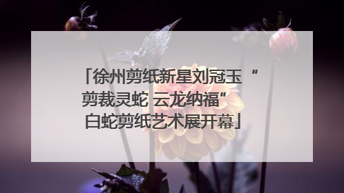 徐州剪纸新星刘冠玉“剪裁灵蛇 云龙纳福” 白蛇剪纸艺术展开幕