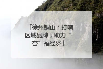 徐州铜山：打响区域品牌，助力“杏”福经济