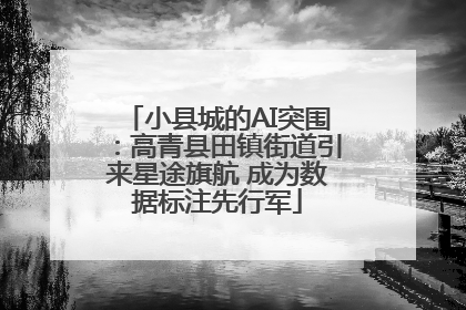 小县城的AI突围：高青县田镇街道引来星途旗航 成为数据标注先行军