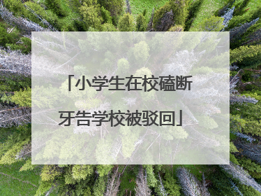 小学生在校磕断牙告学校被驳回