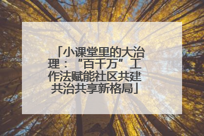 小课堂里的大治理：“百千万”工作法赋能社区共建共治共享新格局