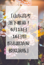 山东高考落下帷幕！6月13日-16日组织志愿填报模拟演练