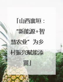 山西襄垣：“新能源+智慧农业”为乡村振兴赋能添翼