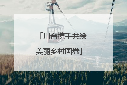川台携手共绘美丽乡村画卷