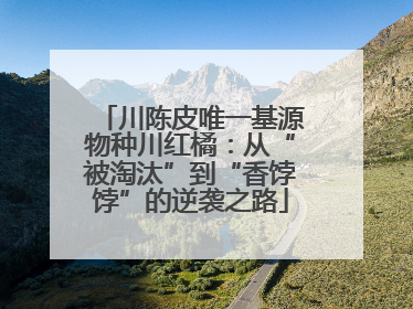 川陈皮唯一基源物种川红橘：从“被淘汰”到“香饽饽”的逆袭之路