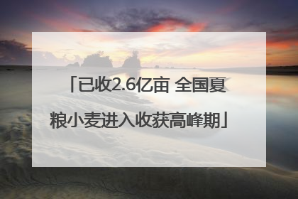 已收2.6亿亩 全国夏粮小麦进入收获高峰期
