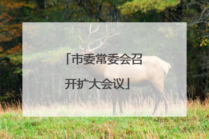 市委常委会召开扩大会议