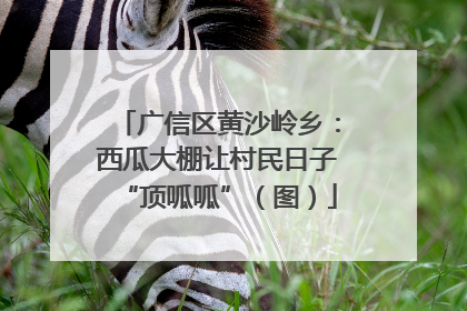 广信区黄沙岭乡：西瓜大棚让村民日子“顶呱呱”（图）