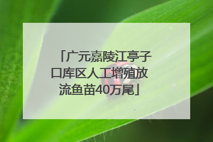 广元嘉陵江亭子口库区人工增殖放流鱼苗40万尾