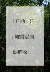 广西三江：椒香满园促增收