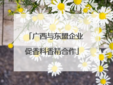 广西与东盟企业促香料香精合作