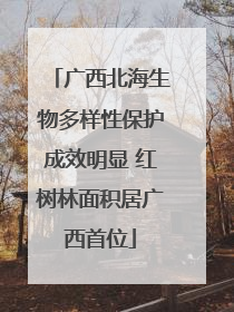 广西北海生物多样性保护成效明显 红树林面积居广西首位