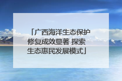 广西海洋生态保护修复成效显著 探索生态惠民发展模式