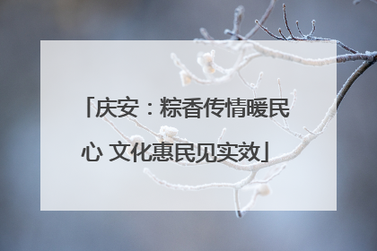 庆安：粽香传情暖民心 文化惠民见实效