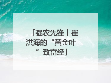 强农先锋丨崔洪海的“黄金叶”致富经