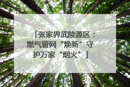 张家界武陵源区：燃气管网“焕新”守护万家“烟火”