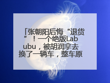 张朝阳后悔“退货”！一个绝版Labubu，被胡润拿去换了一辆车，整车原价值上百万元