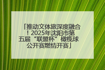 推动文体旅深度融合！2025年沈阳市第五届“联盟杯”橄榄球公开赛燃情开赛