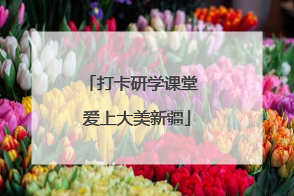 打卡研学课堂 爱上大美新疆