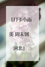 打卡小而美 周末到河北