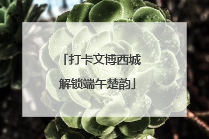 打卡文博西城 解锁端午楚韵
