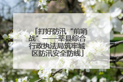 打好防汛“前哨战”——莘县综合行政执法局筑牢城区防汛安全防线