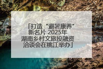 打造“避暑康养”新名片 2025年湖南乡村文旅投融资洽谈会在桃江举办