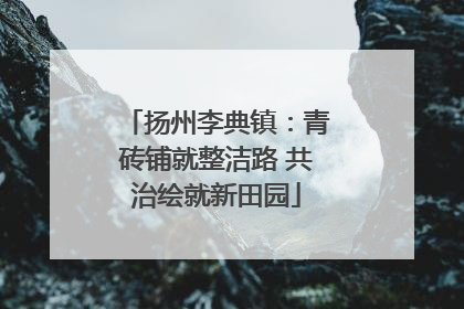 扬州李典镇：青砖铺就整洁路 共治绘就新田园