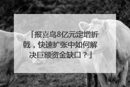 报喜鸟8亿元定增折戟，快速扩张中如何解决巨额资金缺口？