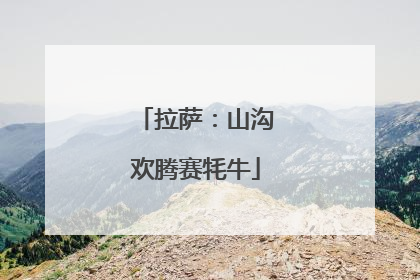 拉萨：山沟欢腾赛牦牛