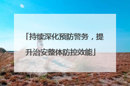 持续深化预防警务，提升治安整体防控效能