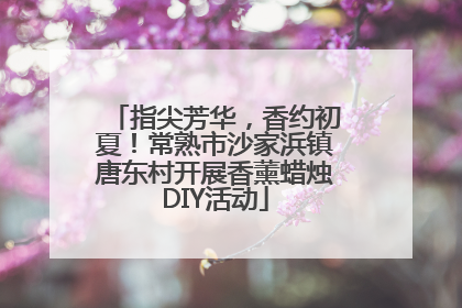 指尖芳华，香约初夏！常熟市沙家浜镇唐东村开展香薰蜡烛DIY活动