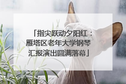 指尖跃动夕阳红：雁塔区老年大学钢琴汇报演出圆满落幕