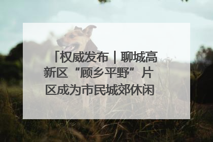 权威发布｜聊城高新区“顾乡平野”片区成为市民城郊休闲全新目的地