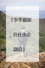 李季履新，升任央企副总