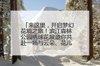 来这里，开启梦幻花境之旅！滨江森林公园绣球花展邀你共赴一场与云朵、花儿的浪漫之约