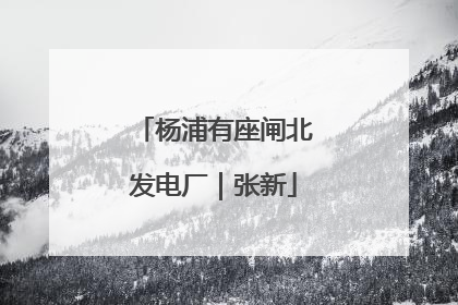 杨浦有座闸北发电厂｜张新